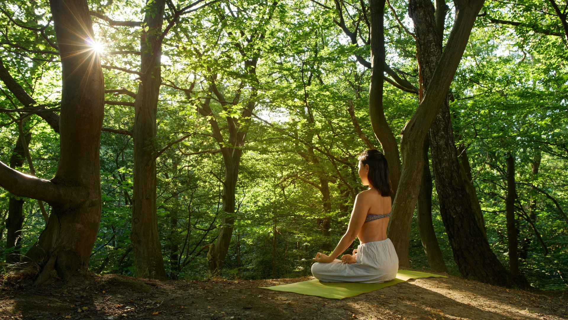 Hero image for Dharana Wellbeing at the 173-acre Agaporia estate. The Resonance of Self — entry into the Dharana Protocol at the regenerative five-star sanctuary in Montefollonico, Tuscany.