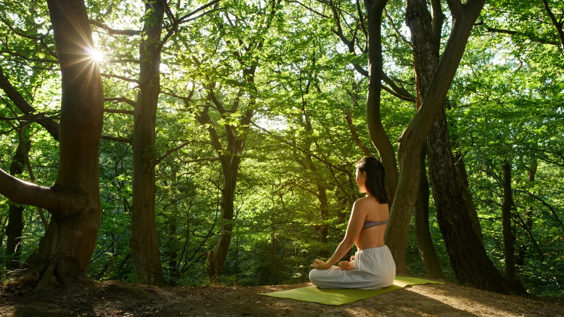 Hero image for Dharana Wellbeing at the 70-hectare Agaporia estate. The Resonance of Self, entry into the Dharana Protocol at the regenerative five-star sanctuary in Montefollonico, Tuscany.