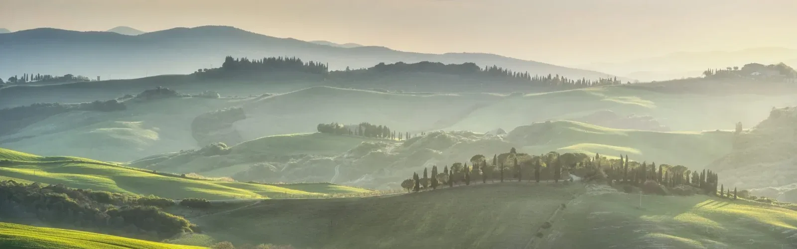 Booking immersions