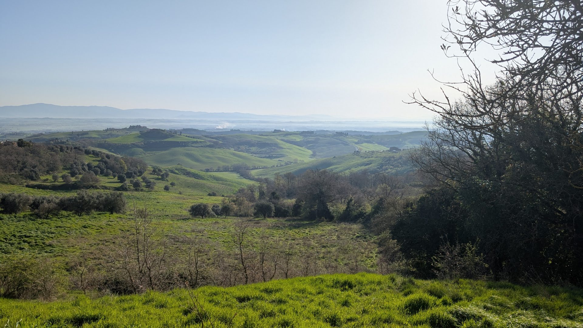 A wide green Tuscan valley photographed from the 173-acre Agaporia estate, rolling hills receding to a haze-softened horizon. The Blueprint of stewardship at the regenerative five-star sanctuary in Montefollonico, in the territory of Vino Nobile di Montepulciano.