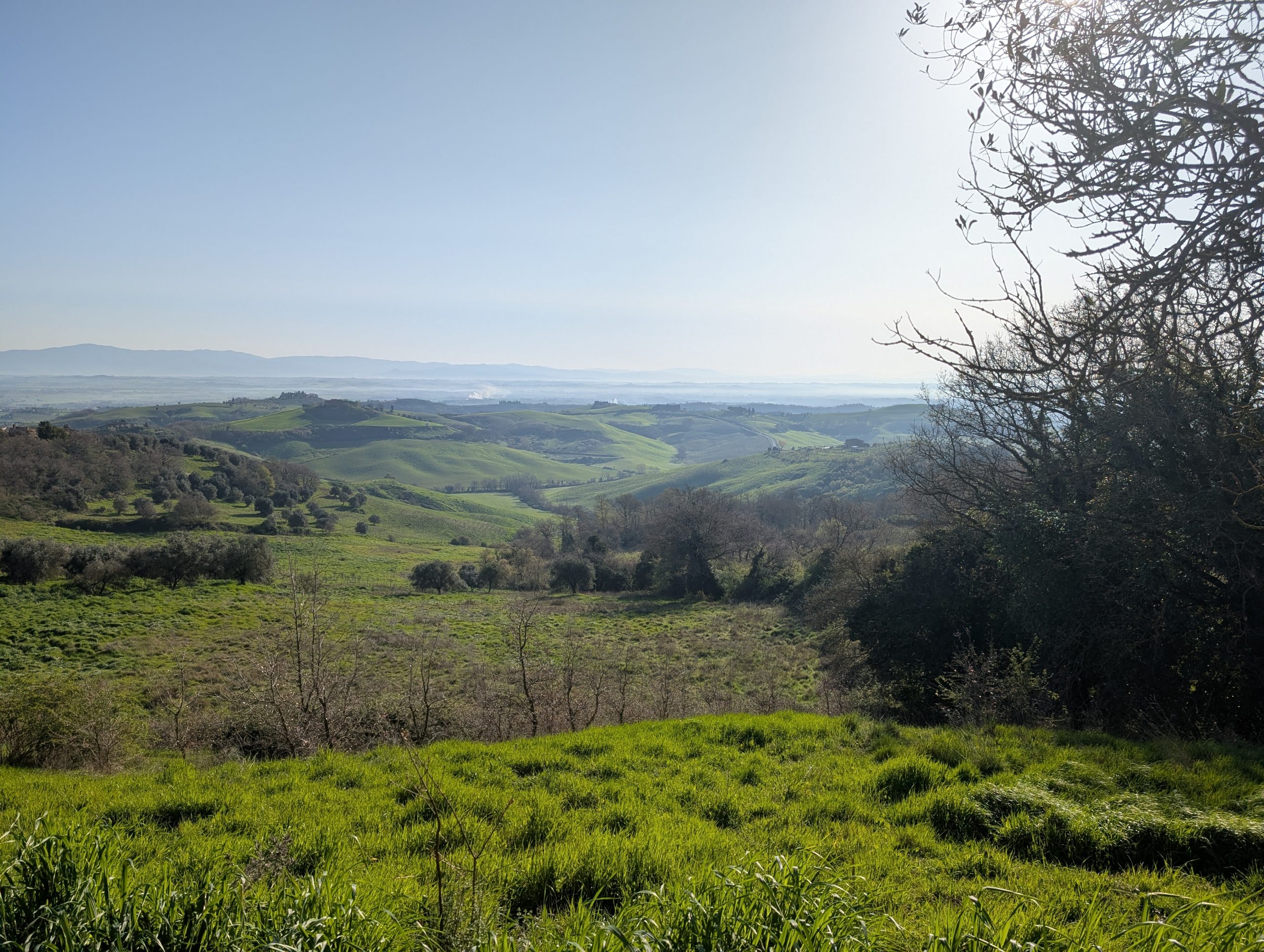 A wide green Tuscan valley photographed from the 173-acre Agaporia estate, rolling hills receding to a haze-softened horizon. The Blueprint of stewardship at the regenerative five-star sanctuary in Montefollonico, in the territory of Vino Nobile di Montepulciano.