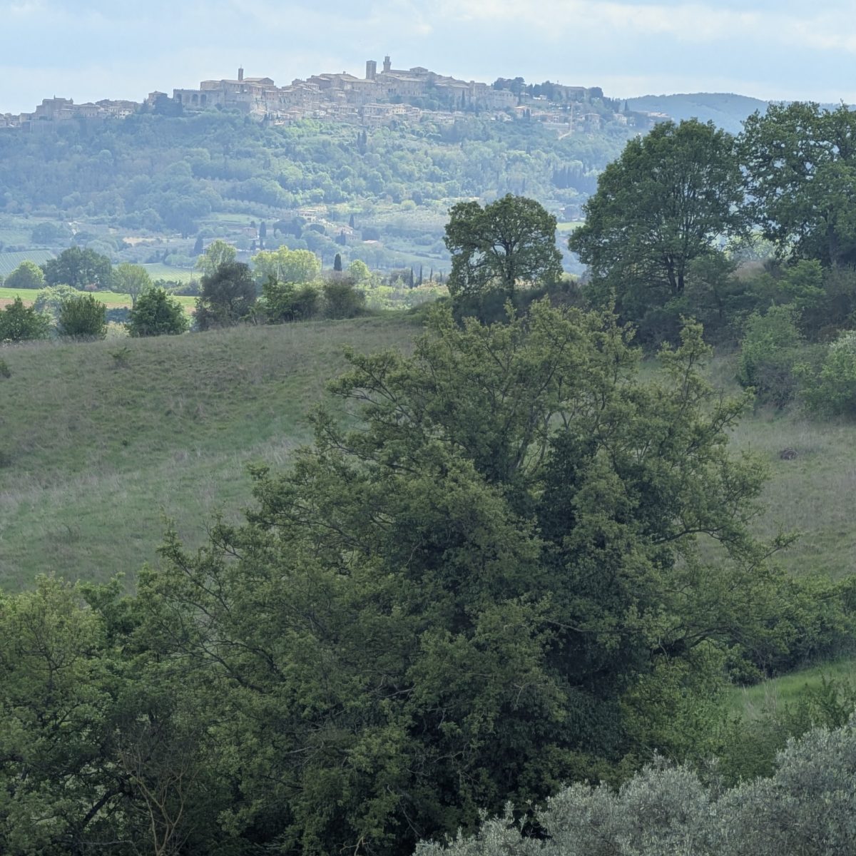 The Biological Engine™