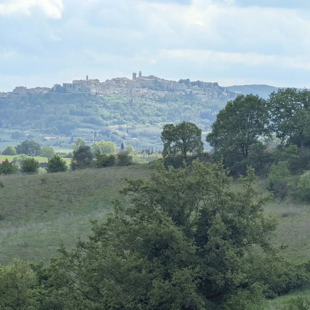 The hilltop town of Montepulciano visible from the Agaporia olive grove, with the rewilded boundary zone between. The 70-hectare regenerative five-star estate sits in Montefollonico, in the territory of Vino Nobile di Montepulciano, Tuscany.
