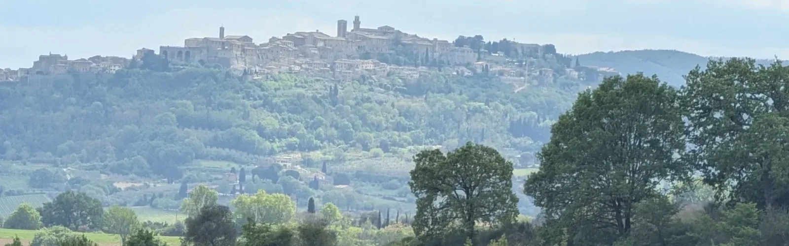 The hilltop town of Montepulciano visible from the Agaporia olive grove, with the rewilded boundary zone between. The 70-hectare regenerative five-star estate sits in Montefollonico, in the territory of Vino Nobile di Montepulciano, Tuscany.