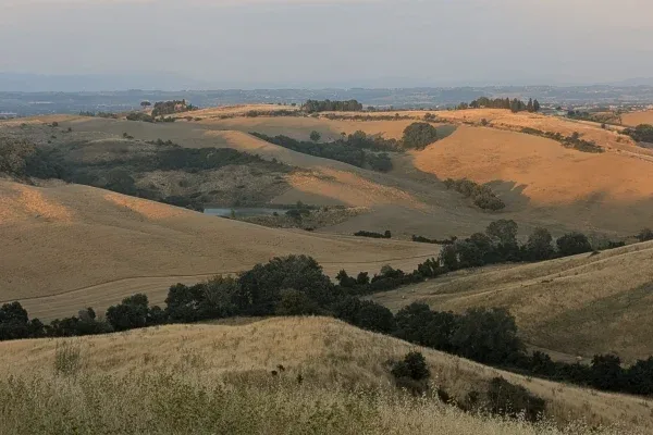 The Reserve