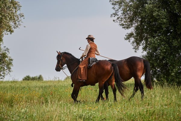 The Patron of Sovereignty