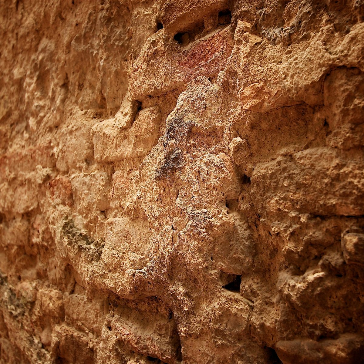 The Foundational Privilege