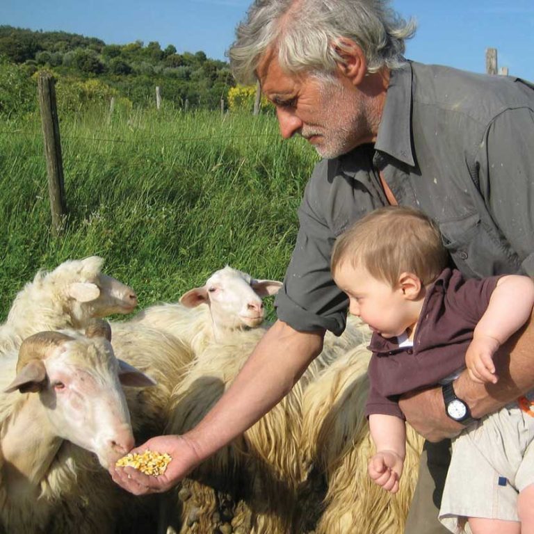 Producer of Pecorino of Pienza and other local cheeses of the Val d'Orcia