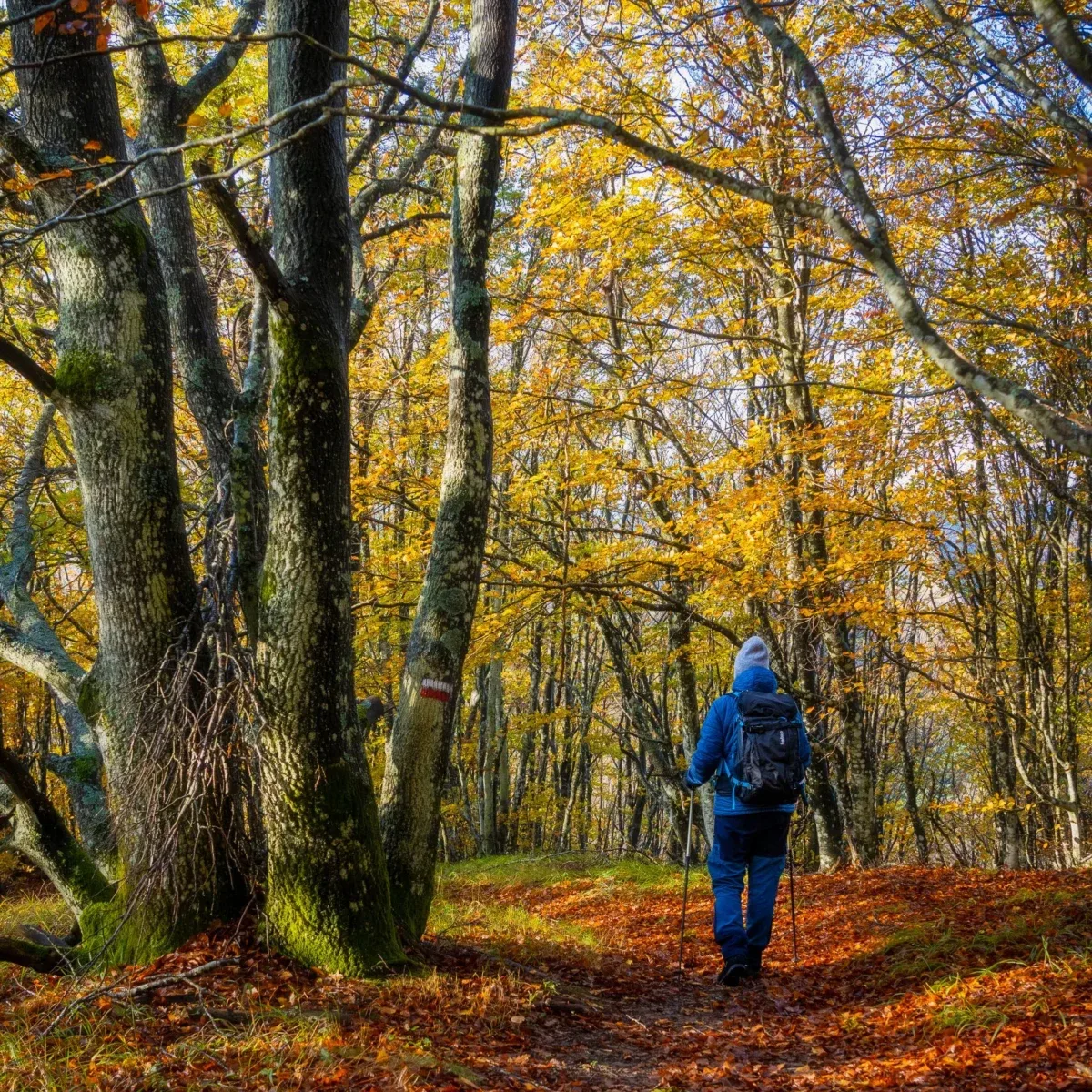 Land and Trails Masterpiece at the 70-hectare Agaporia estate. Natural Immersions at the regenerative five-star sanctuary in Montefollonico, Tuscany.