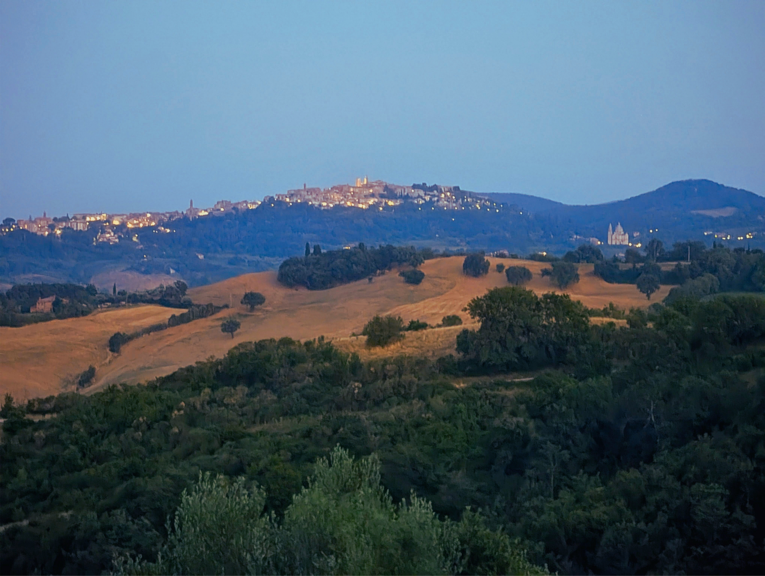 The Estate