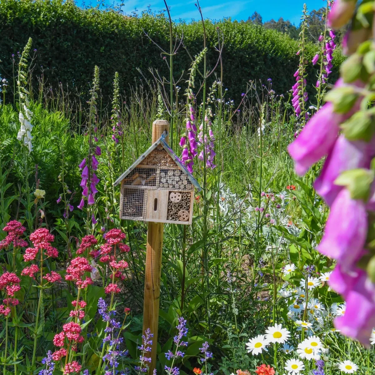 The rewilded zones of the 70-hectare Agaporia estate. Immerse In Nature, The Sensory Path at the regenerative five-star sanctuary in Montefollonico, Tuscany.