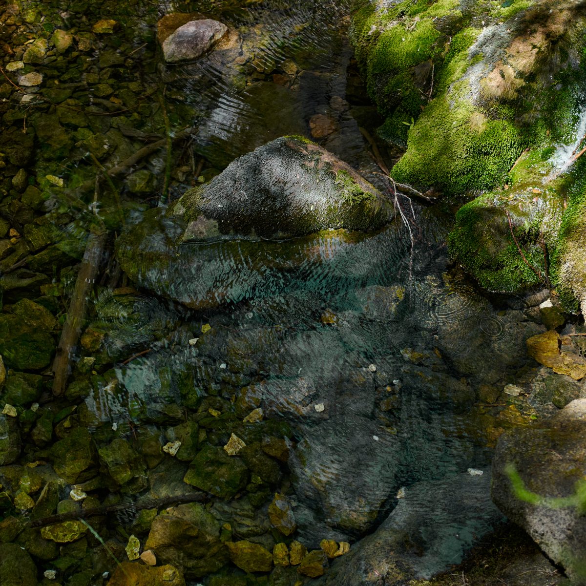 Clear water flowing through a stream at the tree line of the 173-acre Agaporia estate, moss-covered rocks rising from the bed. The Source of Life at the regenerative five-star sanctuary in Montefollonico, Tuscany.
