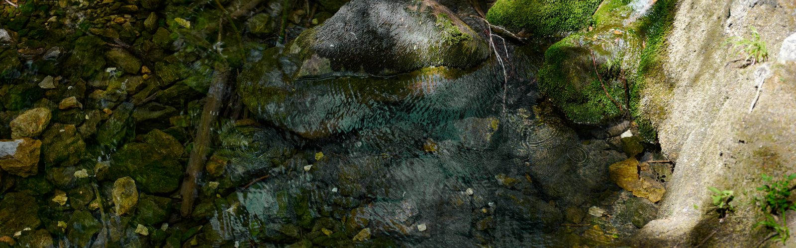 Clear water flowing through a stream at the tree line of the 173-acre Agaporia estate, moss-covered rocks rising from the bed. The Source of Life at the regenerative five-star sanctuary in Montefollonico, Tuscany.