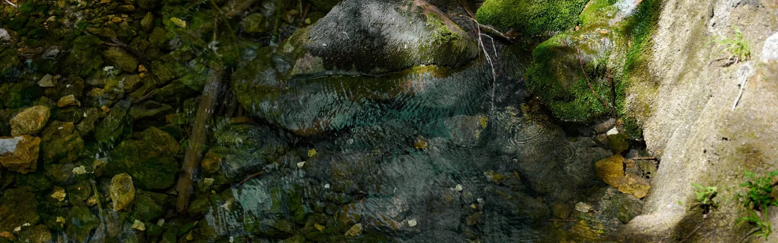 Clear water flowing through a stream at the tree line of the 70-hectare Agaporia estate, moss-covered rocks rising from the bed. The Source of Life at the regenerative five-star sanctuary in Montefollonico, Tuscany.