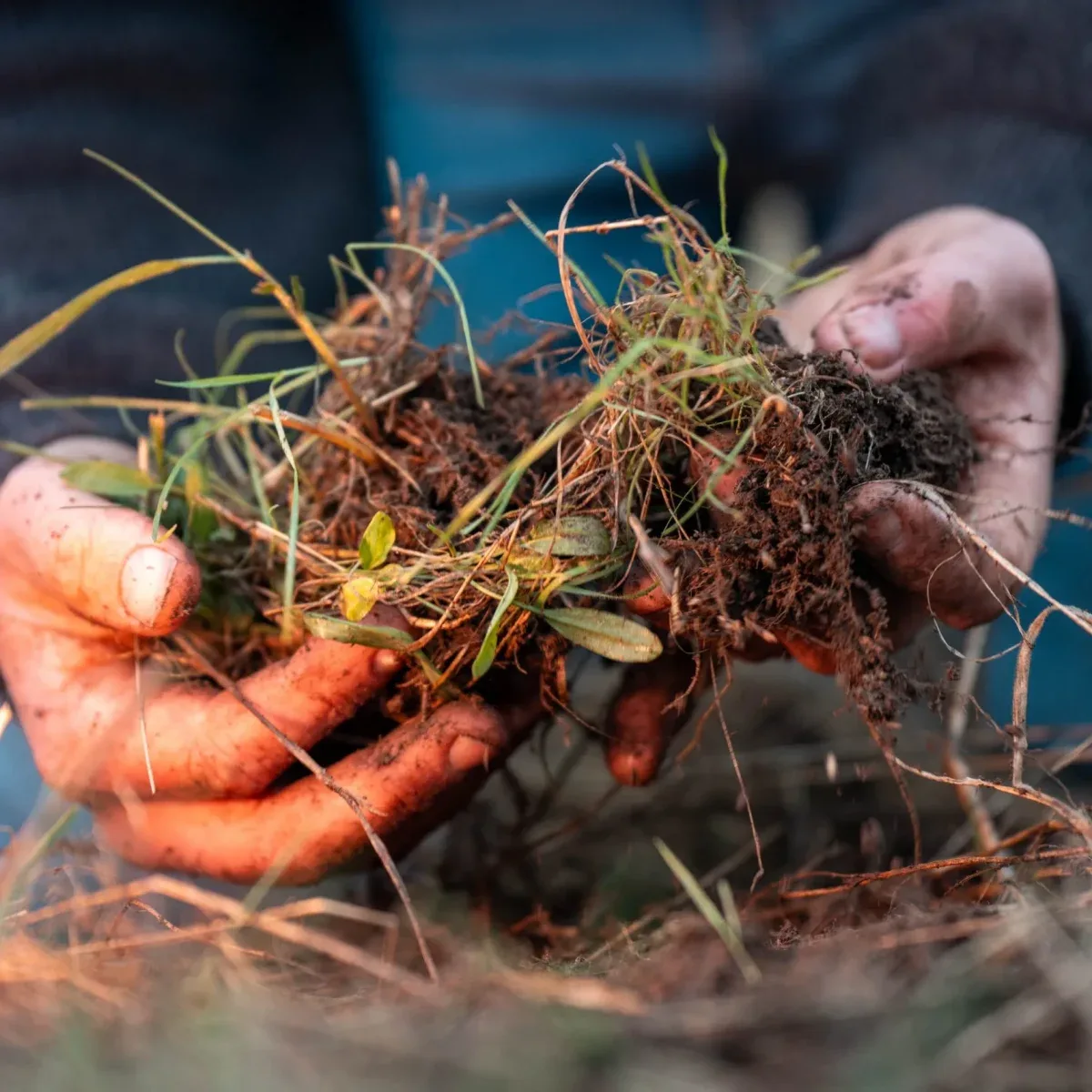 A close-frame view of soil at the 70-hectare Agaporia estate, showing the dark microbial-rich earth managed through regenerative practice. The Science of Soil. Earth's Primal Legacy at the regenerative five-star sanctuary in Montefollonico, Tuscany.