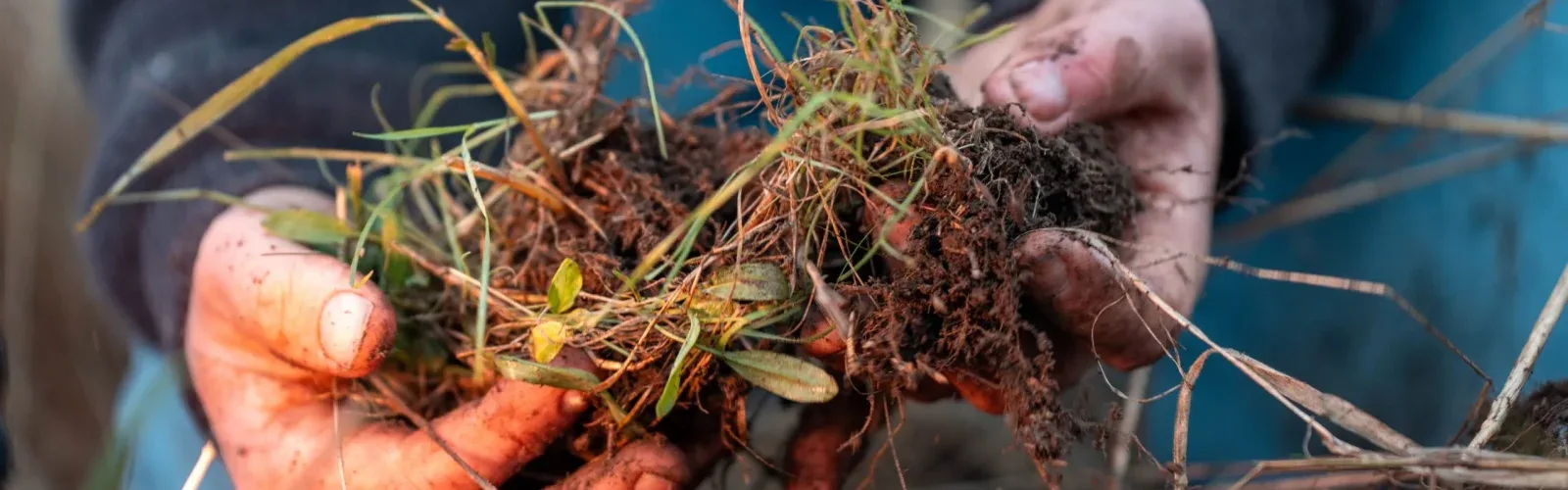 A close-frame view of soil at the 70-hectare Agaporia estate, showing the dark microbial-rich earth managed through regenerative practice. The Science of Soil. Earth's Primal Legacy at the regenerative five-star sanctuary in Montefollonico, Tuscany.