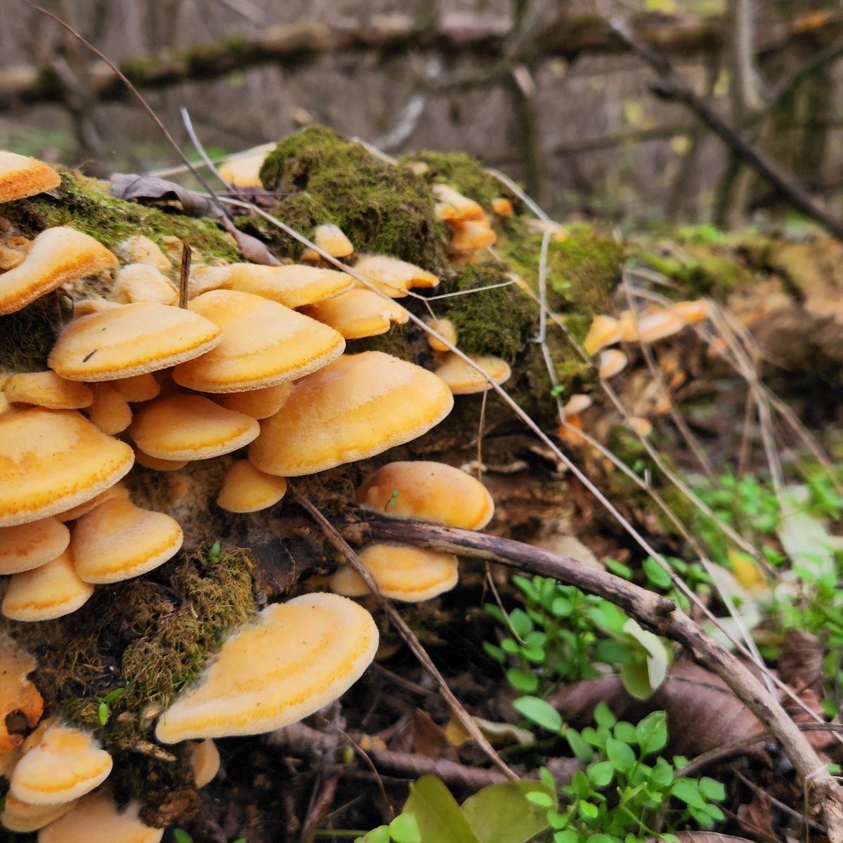 Unmanaged Sovereignty