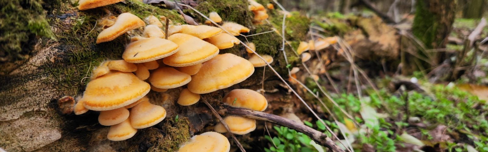 Unmanaged Sovereignty