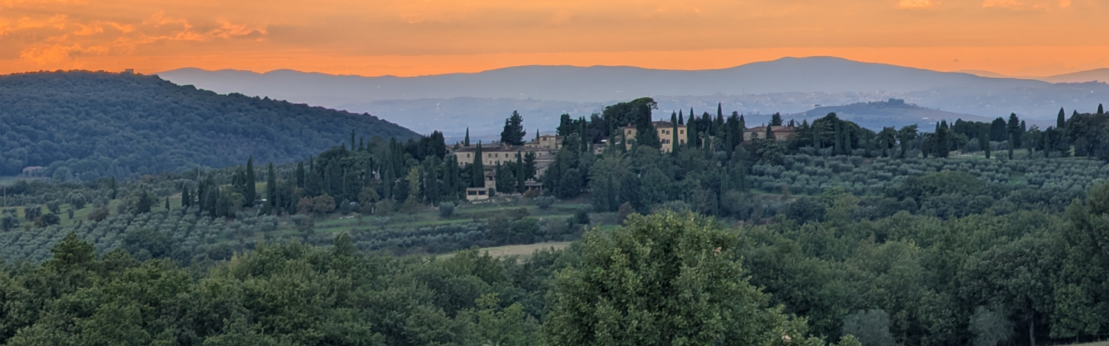 La Prise de Contrôle Stratégique