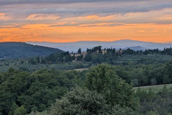 The Strategic Takeover