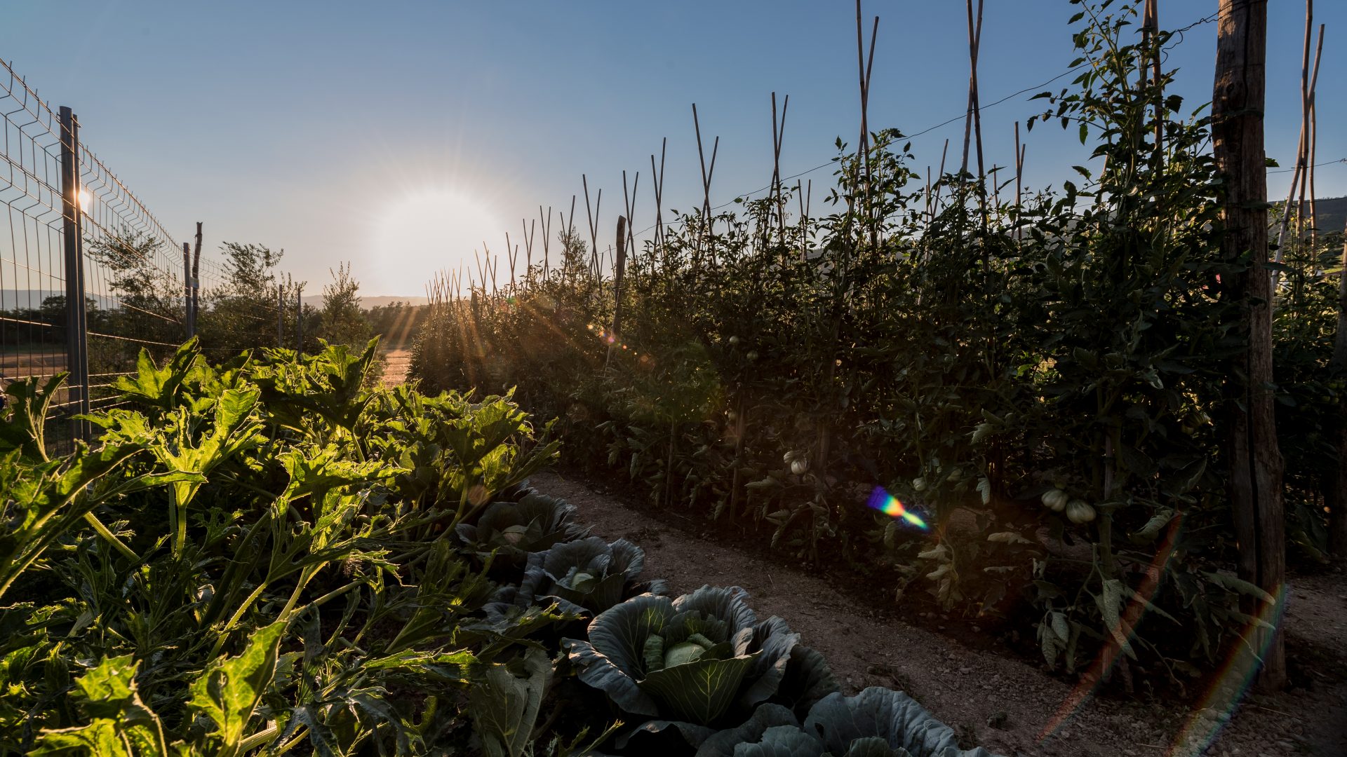 Hero image for The Regenerative Table at the 173-acre Agaporia estate. The Joy of Delicious Vitality — regenerative gastronomy at the regenerative five-star sanctuary in Montefollonico, Tuscany. 80% estate-grown, 100km Short Circuit sourced.