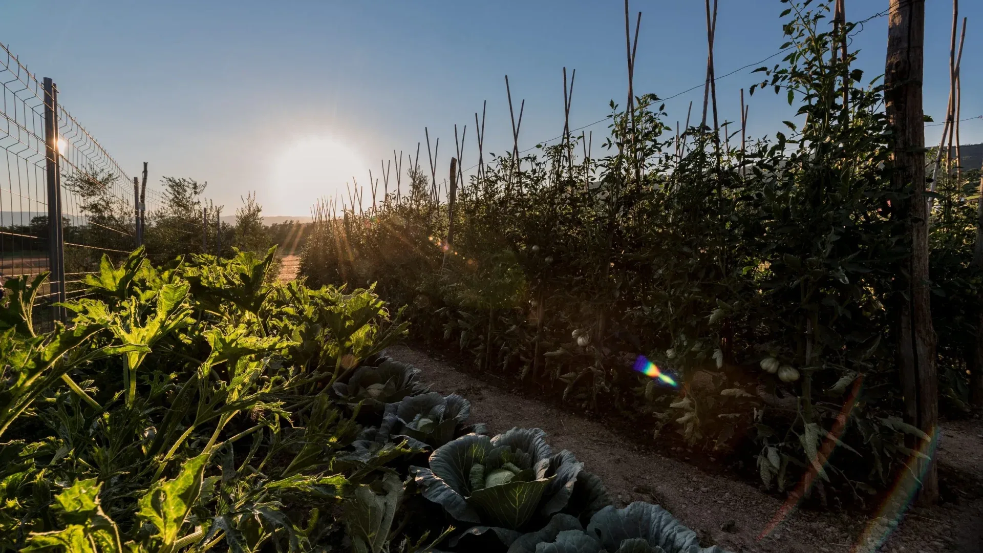 Hero image for The Regenerative Table at the 70-hectare Agaporia estate. Nature writes the menu, regenerative gastronomy at the regenerative five-star sanctuary in Montefollonico, Tuscany. 80% estate-grown, 100km Short Circuit sourced.